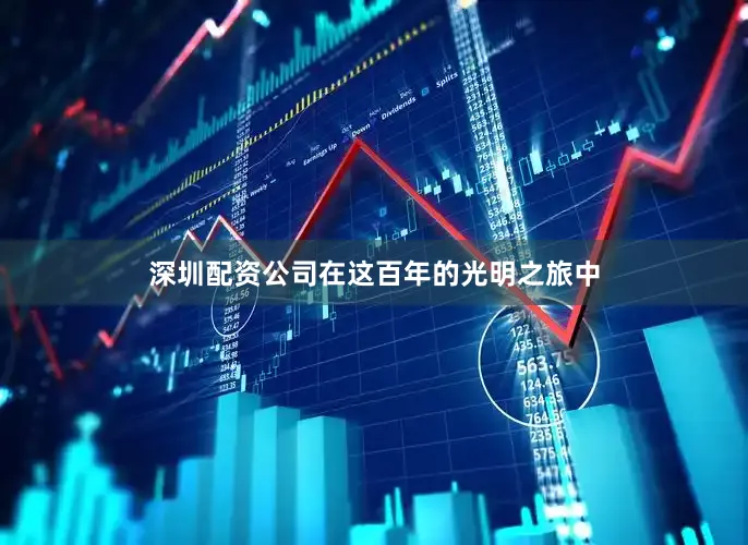 深圳配资公司在这百年的光明之旅中