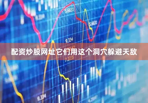 配资炒股网址它们用这个洞穴躲避天敌