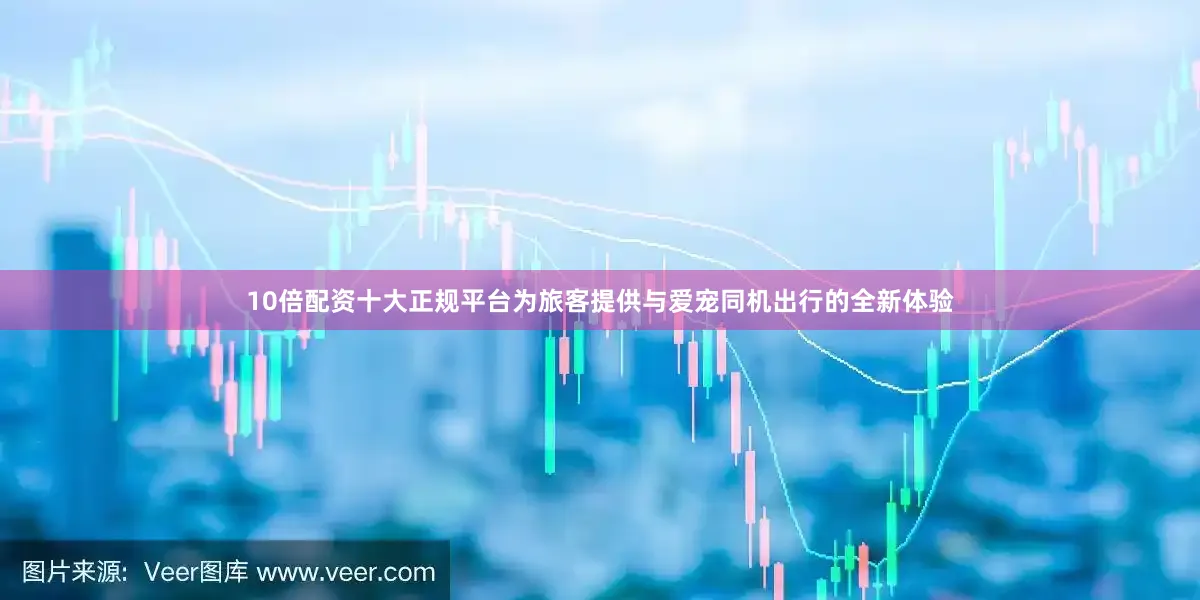 10倍配资十大正规平台为旅客提供与爱宠同机出行的全新体验