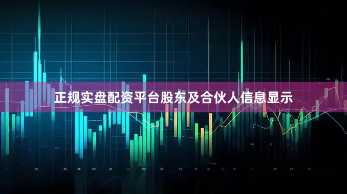 正规实盘配资平台股东及合伙人信息显示