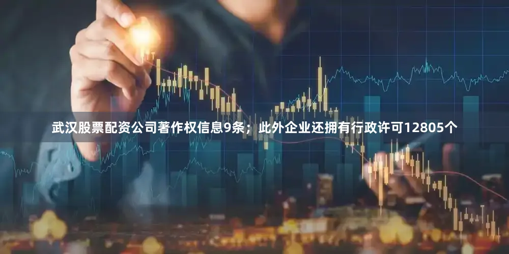 武汉股票配资公司著作权信息9条；此外企业还拥有行政许可12805个