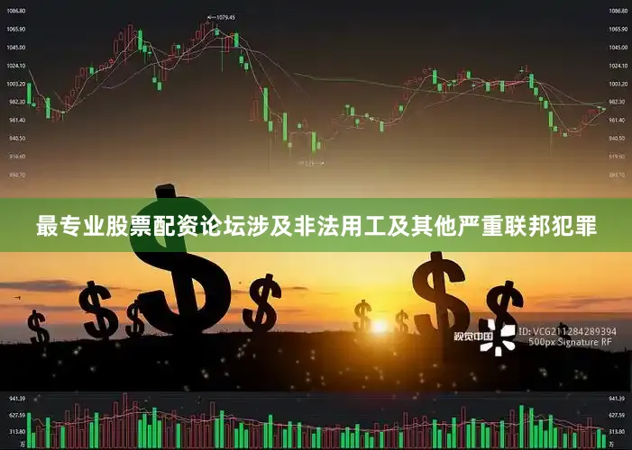 最专业股票配资论坛涉及非法用工及其他严重联邦犯罪